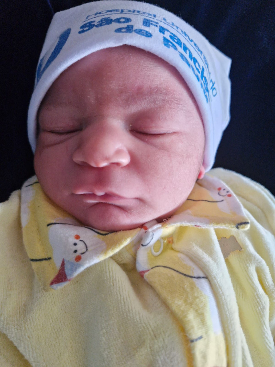 Davi