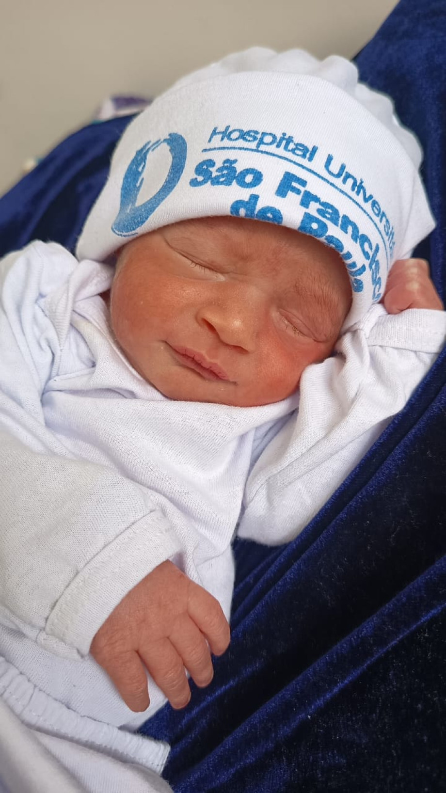 Bernardo