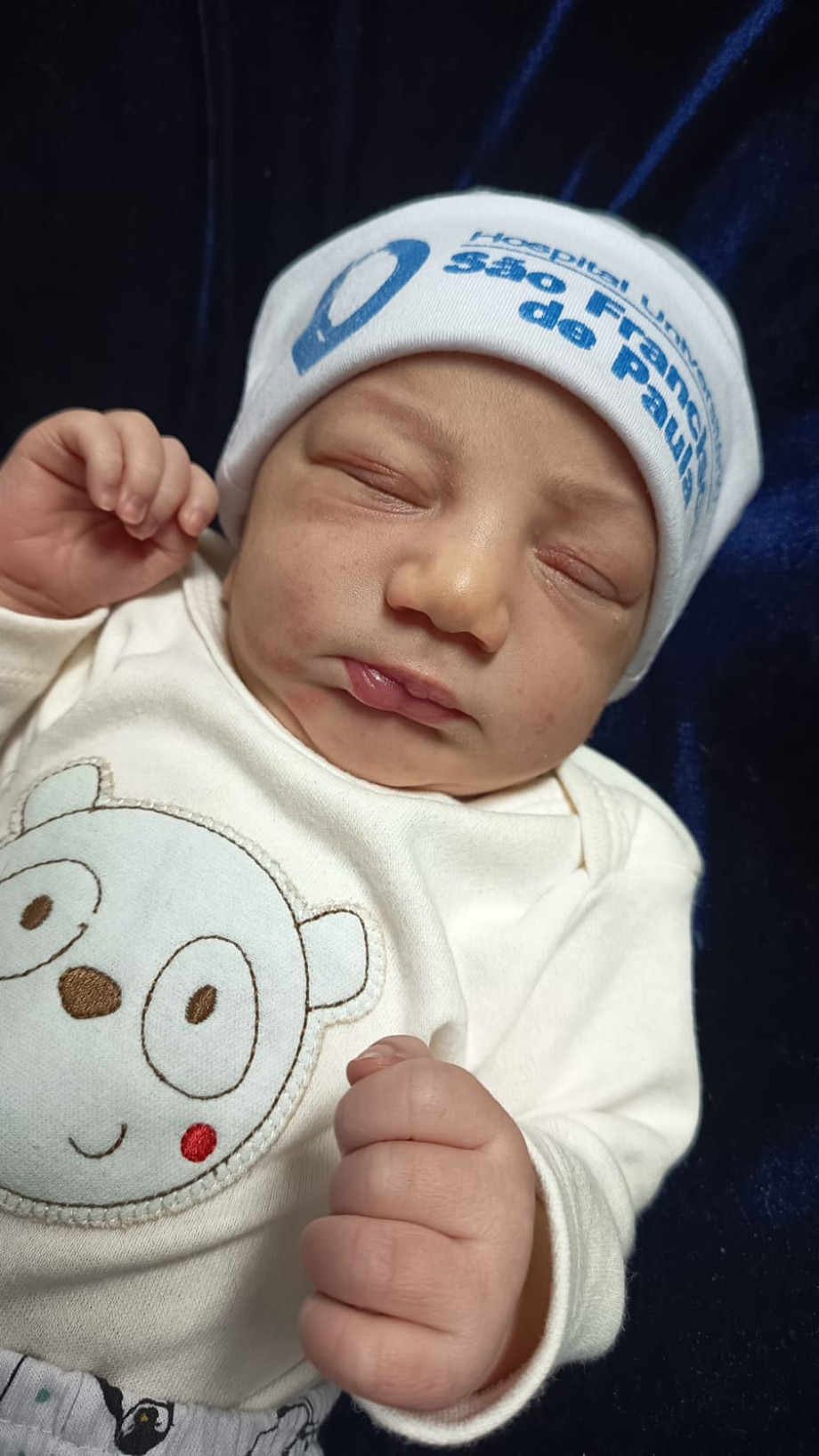 Davi