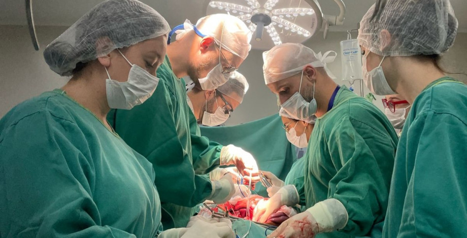 Dia Nacional da Doação de Órgãos reforça importância da conscientização