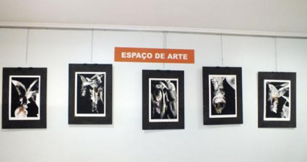 Exposição de fotografia na Galeria de Arte do HUSFP/UCPel