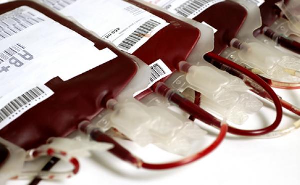 HUSFP apóia campanha de doação de sangue