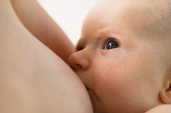 Enquete sobre o aleitamento materno já está no site do HUSFP